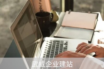 武威市针纺织品销售企业建筑与线上拓展策略